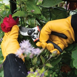 Wilkinson Sword Bypass Pruner, Straight Head, Graphite Non-Stick Coated Blades, Dual Textured Grip (Straight - Bypass)