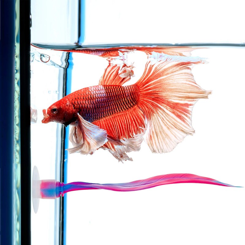 WILLBOND 2 Pieces Silicone Betta Bed Leaf Hammock for Betta