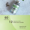 Matter Hello Flat Suplementos Alimenticios con Metabolaid, BioCore Optimum Complete,
