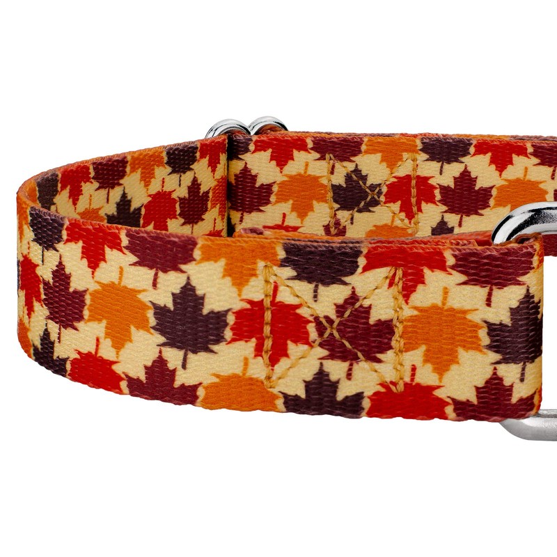 Country Brook Petz - Nature Walk Martingale Dog Collar and