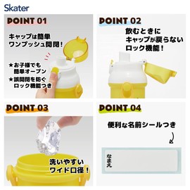 Skater PSB5SANAG-A Water Bottle, 16.9 fl oz (480 ml), For Kids, Antibacterial, Plastic, Child-friendly, Lightweight, Minions 24, Made in Japan