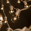 25 Foot Globe String Lights (G40 Clear - White Wire