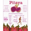 Cactus 50 Red Dragon Fruit Seeds Pitaya Pitahaya Hylocereus Undatus