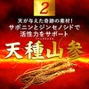 ファイターキング 闘王 60粒約1ヵ月分 [ クラチャイダム ハブ 山参 マカ 黒ゴマ イミダゾールペプチド