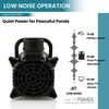 HALF OFF PONDS Submersible Water Pump, 800 GPH Pond Pump
