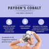 Black Canyon Home and Body Payden's Cobalt Chocolate Temptation For