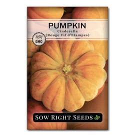 Sow Right Seeds - Cinderella Pumpkin Seeds for Planting - Non-GMO Heirloom Packet with Instructions to Plant an Outdoor Home Vegetable Garden - Fast Growing Red Orange Coach - Rouge VIF d’Etampes (1)