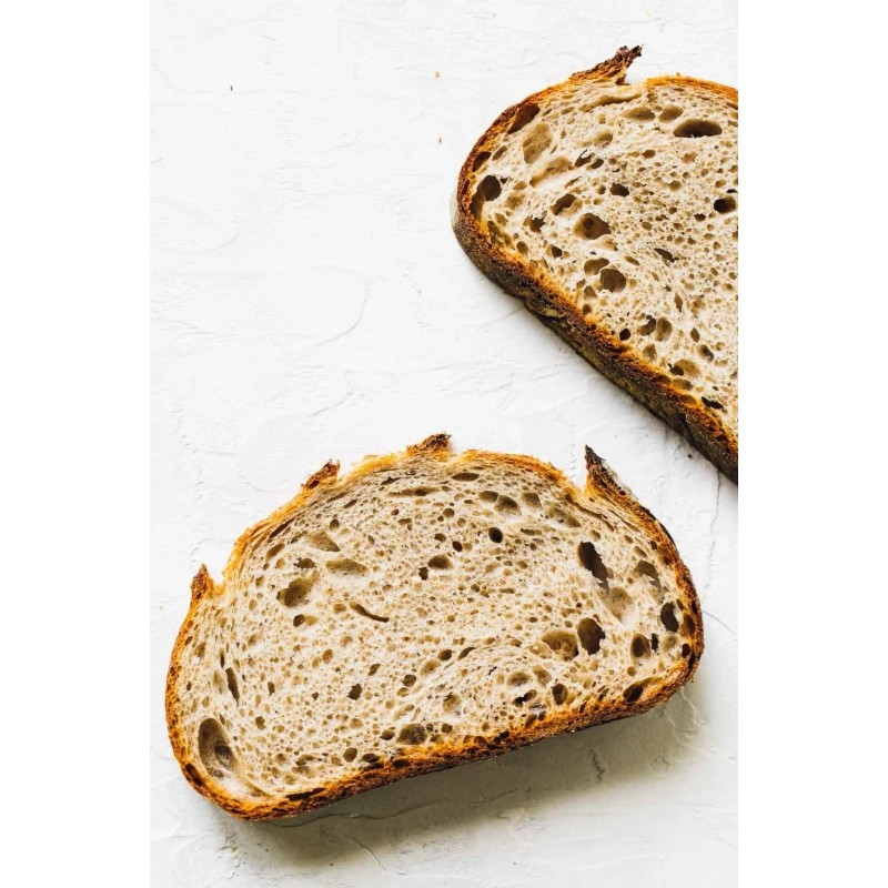 Heritage Sourdough San Francisco Sourdough Starter Wharf Active Dehydrated Sour