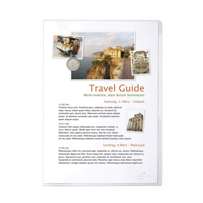 Durable 231319 Display Sleeve A4 Pack of 10, Transparent