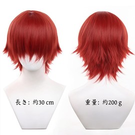 Akixen All Purpose Wig, Full Wig, Men's Ladies, Short Straight Red Wig, For Men and Women, Heat Resistant, Cosplay Hair Net, Event, Halloween Disguise, Festival, 02
