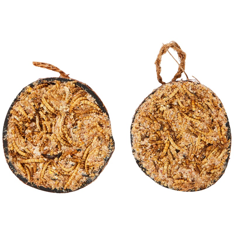 Garden Ting Mealworm Suet Coco Halves Wild Bird Treat, 400