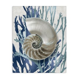Stupell Industries Shell Coral Beach Blue Design, Designed by Caroline Kelly Wall Art, 30x40, Gallery Wrapped Canvas
