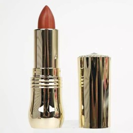 Gita 인기 볼륨 빛나는 입술 립스틱 BR205 커피색 Popular Volume Shining Lipstick BR205 Coffee Color