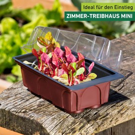 Windhager Room-Greenhouse Maxi Windowsill-Greenhouse Plant Breeding, With Source Tabs