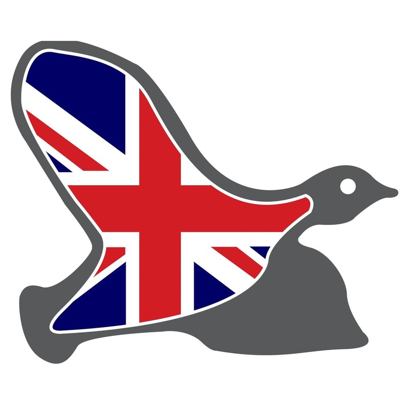 Partridge Predator Minnow Fishing Hook For Pike Perch (06)