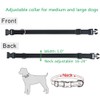 Misthis Bungee Dog Leash for Walking - 4-6FT Heavy Duty