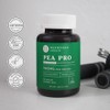 Neurogan- “Suplemento de Palmitoyletanolamida Ultra Micronizada (Guisante) 1500 MG Por