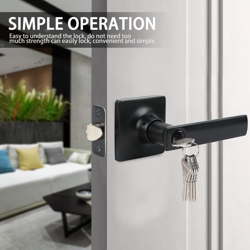 JESSTTI Entry Door Handle Locks with Keys,Square Locking Door Lever