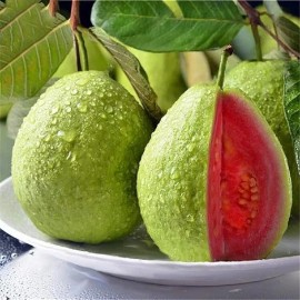 Nygardenia 50pcs Tropical Strawberry Guava Organic Pink Guava Seeds - Exotic Flavors