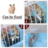 Andiker Automatic Hamster Feeder, 400ml Transparent Acrylic Food Automatic Feeder