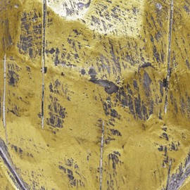 Temple of Karnak Resin antexi-kuanimaru Bird B Gold ng62 