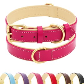 HSIGIO Leather Dog Collar for Small Medium and Large Dogs, Soft Padded Dog Leather Collar with Gold Buckle, Adjustable Genuine Leather Collars for Large Dogs(Hotpink, L)