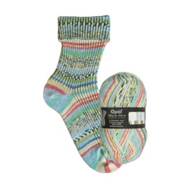 Brazilia Hundred Water IIII - Bus Window