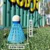 LIUTOVO 12 Packs Nylon Badminton Shuttlecocks Birdies Nylon Feather Shuttlecocks