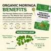 Organic Moringa Powder, Award Winning Premium Pure Leaf Powder Rich