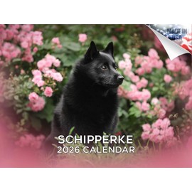 2025 2026 Schipperke Calendar - Dog Breed Monthly Wall Calendar - 12 x 18 Open - Thick No-Bleed Paper - Giftable - Academic Teacher's Planner Calendar Organizing & Planning - Made in USA