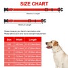 Dog Collars Adjustable for Medium Dogs,Heavy Duty Waterproof Dog Collar