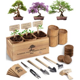 Avergo Bonsai Tree Kit – 3X Unique Japanese Bonzai Trees | Complete Indoor Starter Kit for Growing Bonsai Plants with Tools & Planters – Gardening Gifts for Women & Men