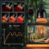 XFP Reptile Dimming Thermostat Heat Lamp Temperature Controller for Seed