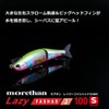 Daiwa Moissanite Lazy Fashad J 100S Matte Lime Chart