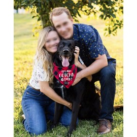 NTKIO Funny Blue Plaid Cotton Pet Dog Bandana Scarf, It's My Gotcha Day, Dog Birthday Party Wedding Gender Reveal Photo Accessories for Pet Dog Lovers Gift, Medium