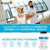 Renew Actives Double Strength Probiotic: High Potency Probiotic 40 Billion
