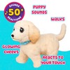Little Live Pets Ouchies Cooper The Retriever Puppy, 50+ Sounds,