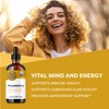 Vimergy PropolisPure ® –USDA Organic Propolis Liquid Extract – Immune