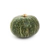 Fresh-GPS- Whole Kabocha Squash-3lbs