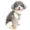 ZUNEA Dog Harness with Lead Small Dogs Escape Proof Puppy