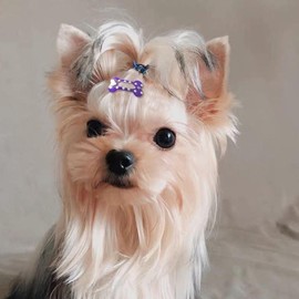 5Pcs Dog Sheap Hair Clips, Mini Bone Barrettes, Small Snap Hairpins for Pets, Pet Hairpin Dog Hair Accessories