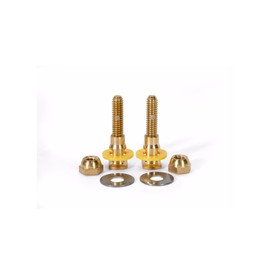 Fluidmaster 7110A-001-P10 Setfast Self-Adjusting Toilet Bowl to Floor Bolts, Brass