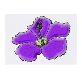 'Purple Hibiscus Flower' Temporary Tattoo - Water Resistant, Skin-Safe, Non-Toxic Transfer (TO00040888)