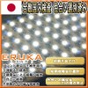 Elka T10 TS-084-2S 31mm/29mm/12V/24V Multi-Fit Design Explosive LED Room Lamp