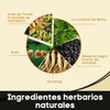 1pza - Shampoo Tinte Instantáneo Orgánico Natural Cubre Canas Cambia