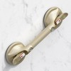 DAILYLIFE Shower Grab Bar for Bathtubs and Showers, 17 inch