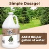 Pine Tree Fertilizer, Complete Liquid Pine Tree Plant Food, 1