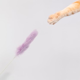 5-Piece Interactive Cat Teaser Set – 38cm Cat Wand with 13cm Fluffy Imitation Rabbit Fur in 5 Vibrant Colours for Indoor Cats Play & Enrichment