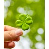 No Plastic Sunday NFC Lucky Fortune Four-Leaf Clover Tag Me