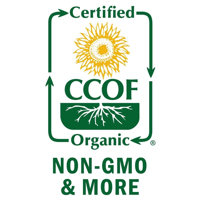 Organic Soft White Whole Wheat Flour - 2lbs (Pack of